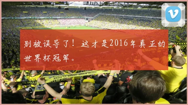 别被误导了！这才是2016年真正的世界杯冠军。