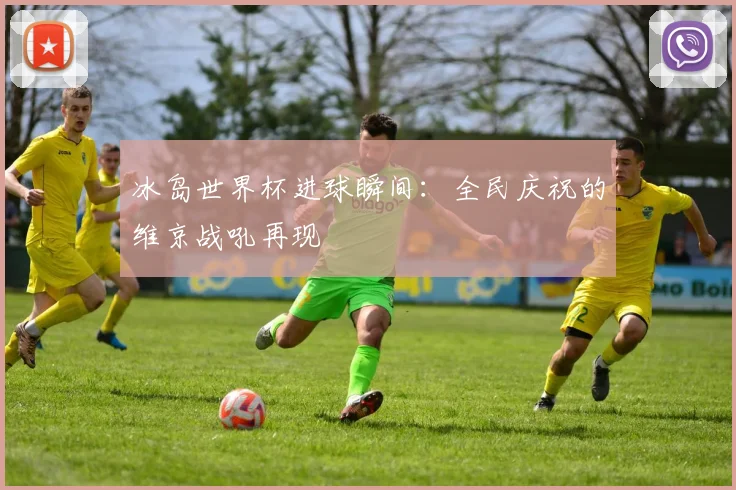 冰岛世界杯进球瞬间：全民庆祝的维京战吼再现